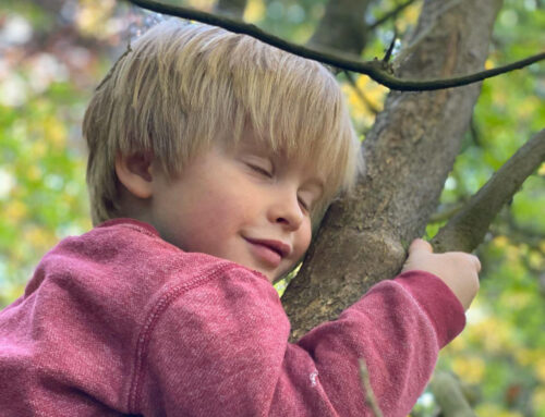 LES YAMAS ET NIYAMAS POUR LES ENFANTS